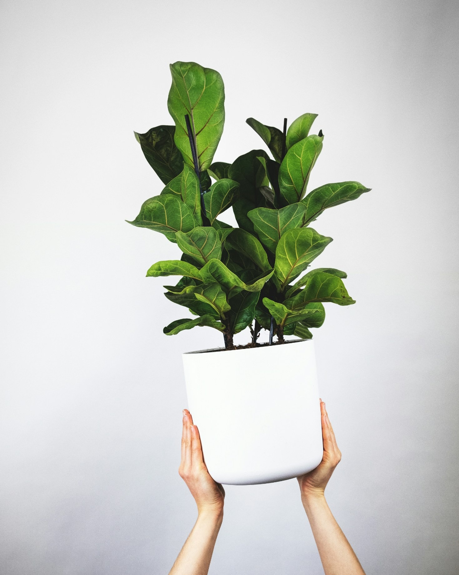 Como a impressão 3D revoluciona a decoração moderna