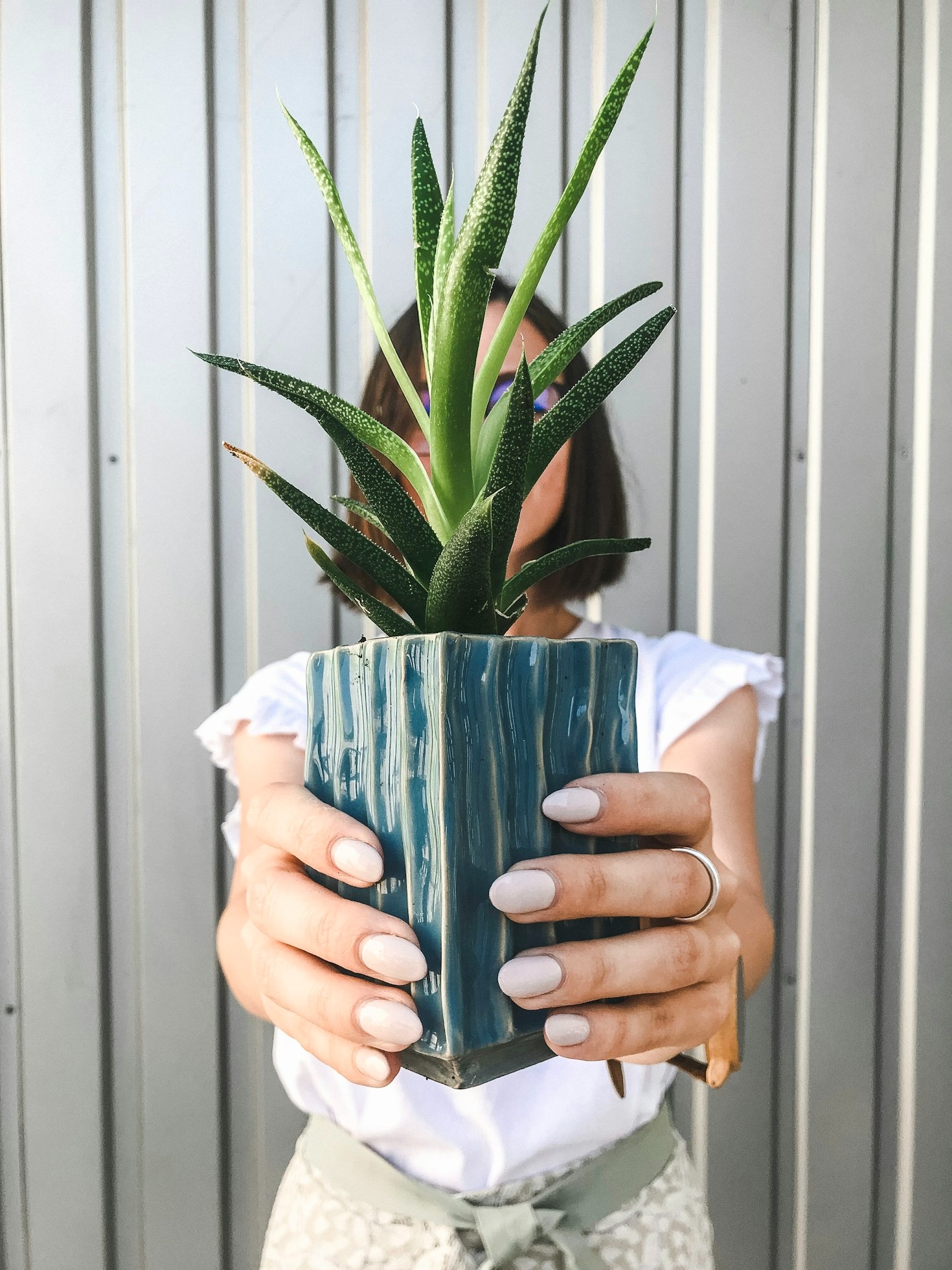 Integrando plantas à decoração: dicas práticas